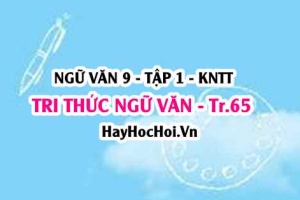 Soạn bài Tri thức ngữ văn trang 65 lớp 9 tập 1 Kết nối tri thức